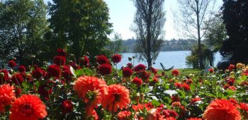 Бодензее - Баварски замъци - Залцбург - Мюнхен