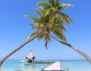 Canareef Maldives