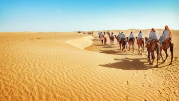 Почивка в Тунис със самолет от София в сряда - 7 нощувки
